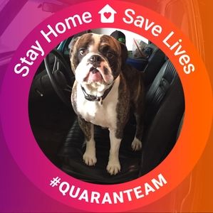 Meet your Posher, Pam